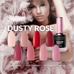 Dusty Rose